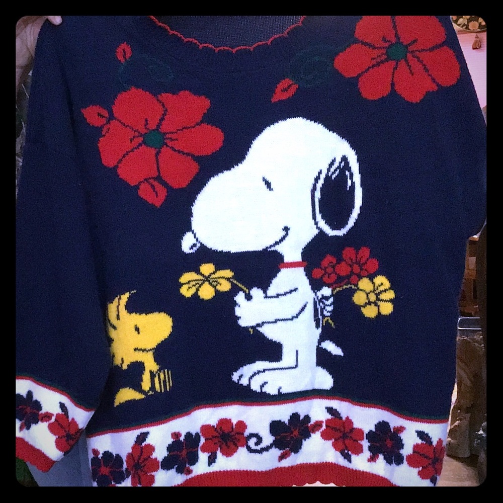 Fun Snoopy & Woodstock Sweater